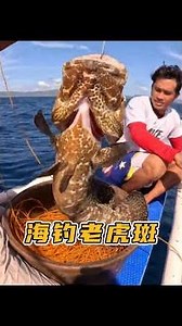 男人用雞肉當釣魚的誘餌，竟然釣上來幾條十來斤的老虎斑。 #海釣 #釣魚 #戶外釣魚 #石斑魚 #釣魚人就是這麼瘋狂