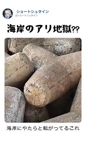 海岸のアリ地獄