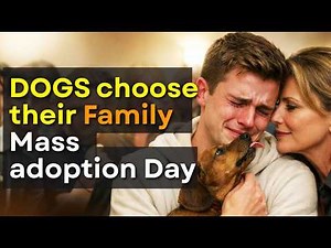 When No Dog Chose Anyone… Until This Moment Touched Every Heart ❤️🐶