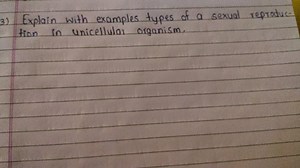 Explain the types of asexual reproduction in unicellular organi... | Filo