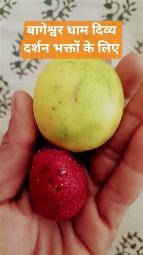 Divine Darshan for Bageshwar Dham Balaji devotees #pradeepmishrajidhankeupay