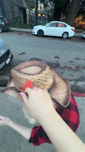 #APPLEJACK #FLUTTERSHY ;; @nicole⋆˚࿔ applejack didn’t get the concept … #mylittlepony #mylittleponycosplay #appleshy