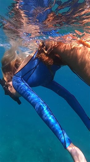 Exploring Underwater Beauty Through Diving