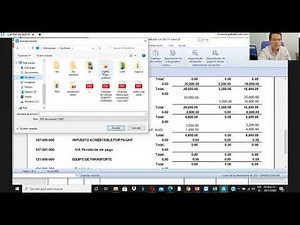 Reportes auxiliar y mayor