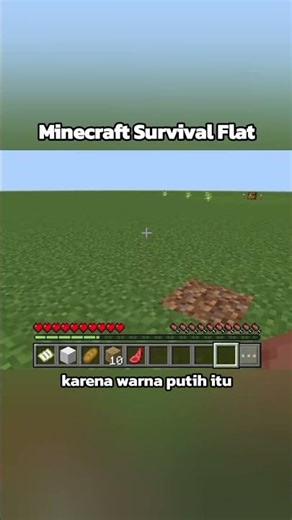 Kenapa Domba Putih Paling Disukai Player Minecraft #shorts #minecraft #minecraftshorts #gaming