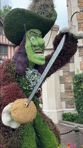 Peter Pan and Captain Hook battle it out in Disney. #disney #peterpan #hook #captainhook
