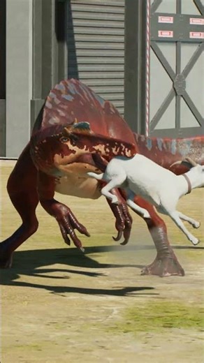 Wetland Carnivores Eating Good!