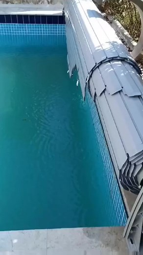 Alpha Piscine sur TikTok