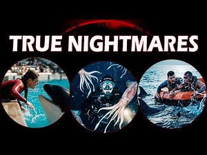 When Humans Faced Nature's Deadliest Predators | 3 true stories