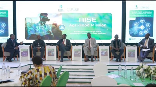 Inside the RISE Agrifood Mission | Uganda Development Bank