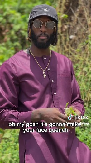 Jamaican cerassee is a superfood herb that is very powerful in its ability to clean the blood and fight excema. Not on does it kill excema bit it also kills cancer and fights leukemia especially. Cerassee has been used in the Caribbean as well as all over Africa for hundreds of years and it has kept us healthy .. order yours at www.nurturebeing.net #cerasee #cerassee #jamaicancerasee #bitters #plantmedicine #planthealing #plantcure #herbalcure #diabetes #leaukemia #excema #herbs #herbalism #plan