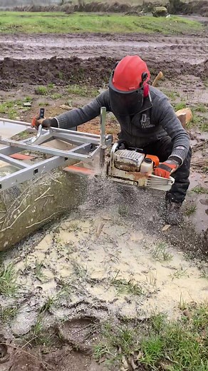 Chainsaw Milling of Beech Tree in Ireland