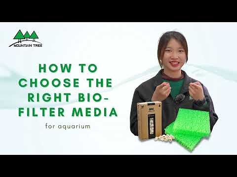 How to choose the right bio-filter media for your aquarium?