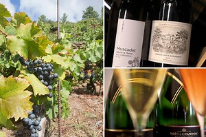 Fine wine prices slide for third year in a row as tariffs and stocks sap demand