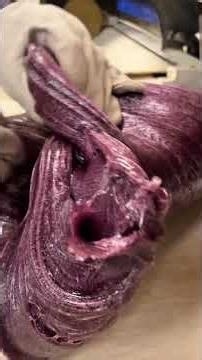 I tried to tell you… but you didn’t listen 🤷