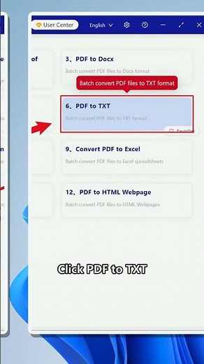 Batch convert PDF files to TXT on Windows