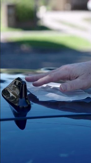 Remove Bird Droppings Without Scratches Using Eclipse Wipes