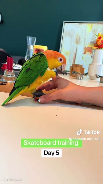 Day 5 of #SkateboardTraining 🏂🦜😂 it's starts to go very well 🥰🥰🥰 #CaiqueParrots #BirdTok #FunnyBirds #ParrotsofTikTok #BarneyMotomoto #ParrotLife #Caique #ParrotPersonality #BirdLovers #Skateboarder #Skateboard #Skateboards #ParrotTricks
