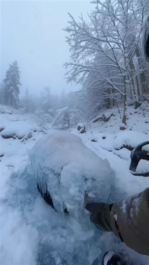 THETIX on Instagram: "“Frozen Panda, Freed by Courage | Winter’s Harshest Rescue” In the middle of a blinding snowstorm, nature turned cruel: a giant panda locked in crystal ice, motionless under falling snow. Just when hope seemed lost, a lone rescuer broke through the frozen prison—careful, steady, never harming the animal—until life returned to the panda’s eyes. What followed was raw, emotional, unforgettable. 🎥 Shot like a real phone recording ❄️ Brutal winter wilderness 🐼 Panda saved with