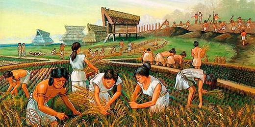 Aprende todo sobre la Agricultura Maya