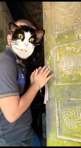 The Cat Pressed the Sensor... But a HUSKYHead Jumped Out!