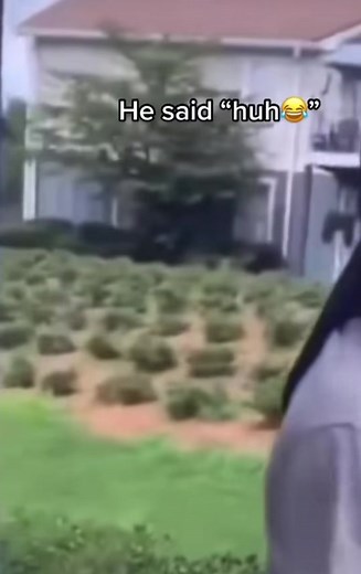 Victor (@victor2.0..0.2)’s videos with original sound - Victor