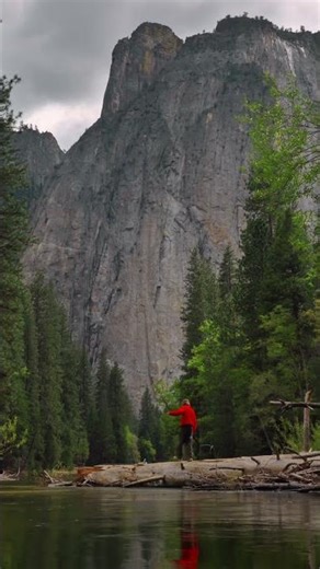 Documenting nature with the OPPO Find X9 Ultra