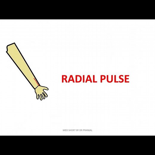 9 Pulse Sites In Human Body (Sites Of Arterial Pulse)
