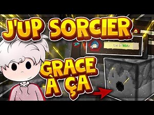 PASSER NIVEAU 10 SORCIER EN 1 HEURE SUR VANADIA 🔥🌳🌊🌪️