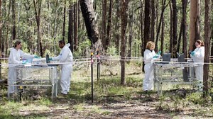 Dead Bodies Move While Decomposing, Australian Researchers Find