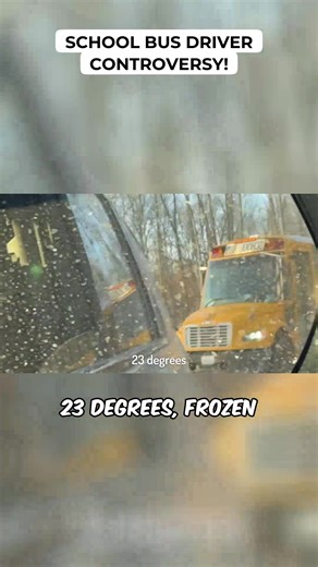 Is This School Bus Driver a Menace?