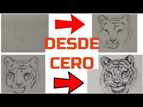 APRENDE cómo DIBUJAR un TIGRE realista!!