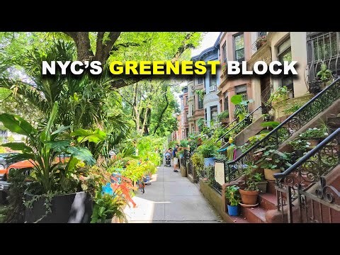 NYC's GREENEST Block in Brooklyn 4K NYC Walking Tour Crown Heights Brooklyn