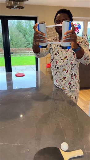 Portable Table Tennis: Fun for Family Game Nights