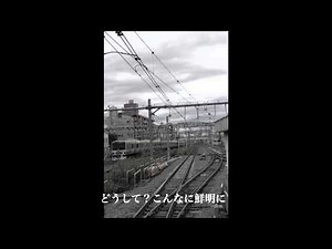 美しき日々よ 清水翔太 三浦京介