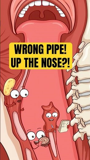 Why Food Goes Up the Wrong Way (Nasal Regurgitation Explained) #medicalanimation #animation