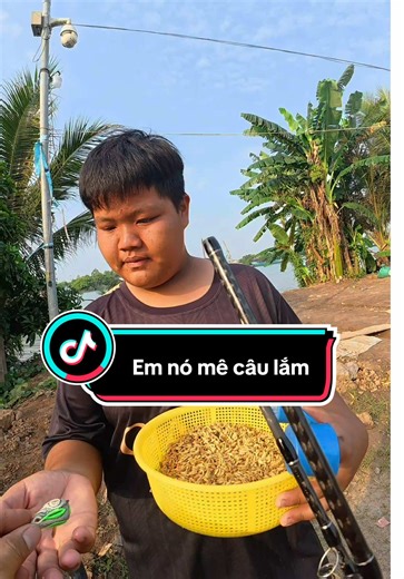 Câu cá lóc trong ao cá tra - Kỹ thuật và mẹo