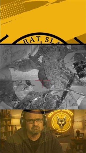 Rat Shooting Frenzy | Extreme Rat Hunt in the Farm | BackYard Rat Hunt | The Rat Slayer