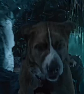 This Movie. | 𝘼𝙏𝙏𝙍𝘼𝘾𝙏𝙄𝙊𝙉