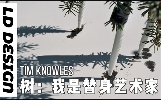 【LD带你看】 最懒艺术家，用树做替身，绘下大自然的艺术！——Tim Knowles