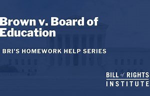 Brown v. Board of Education case summary, Impact of Brown v. Board on ood Marshall and school desegregation, 14th Amendment Equal Protection Clause cases, Landmark Supreme Court cases on civil rights, BRI homework help