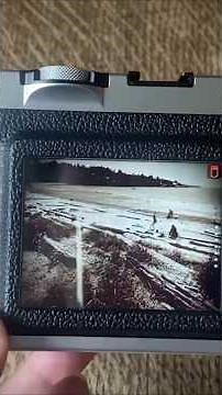 Fujifilm Instax Mini Evo - Best Instant Camera? #shorts