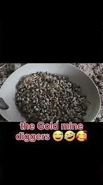 How to Process Rabbit Manure for Effective Fertilizer usage..