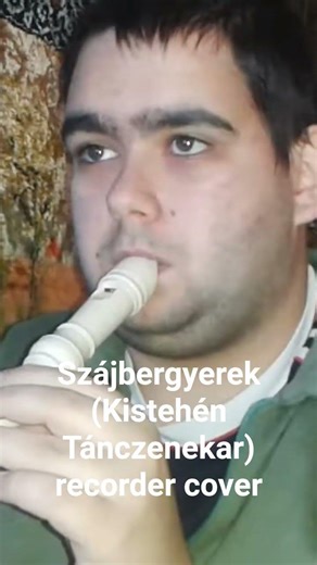 Szájbergyerek (Kistehén Tánczenekar) recorder cover #blockflöte #music #furulya #recorder #cover
