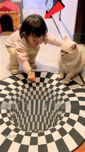 Smart Cat vs 3D Carpet!🐱