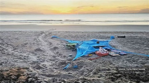 Beach litter creates obstacles for nesting sea turtles in Volusia County