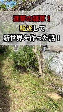 【草の生えない庭づくり】庭の雑草を生えなくする方法