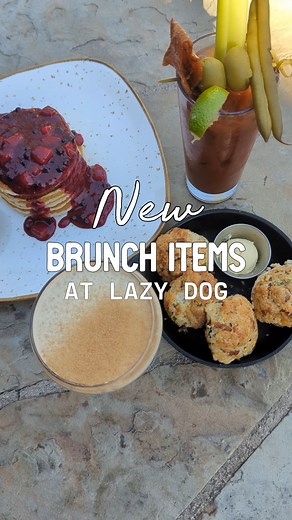 New weekend brunch items have arrived! ☀️ Grab your pup, tag a bestie and come join us! Brunch is served Sat Sun 'til 2pm. #lazydogrestaurant #ldtable #brunchwithus | Lazy Dog Restaurants