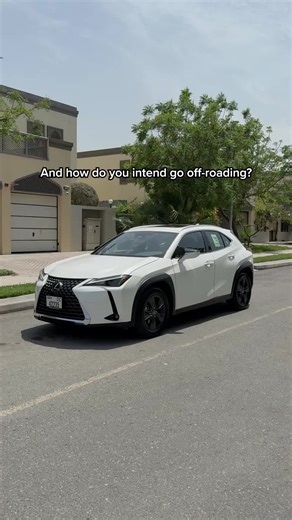 Bird in a Lexus Commercial: A Fun Anime Twist