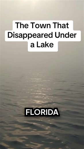 An entire Florida town was swallowed by a lake — and it's still down there. 🌊 The history beneath Florida's surface will shock you. Florida History Florida Ghost Towns Forgotten Florida Hidden Florida Historic Florida Florida Fossils Florida Exploration #HiddenFlorida #FloridaHistory #ForgottenFlorida #ColonialFlorida #HiddenHistory